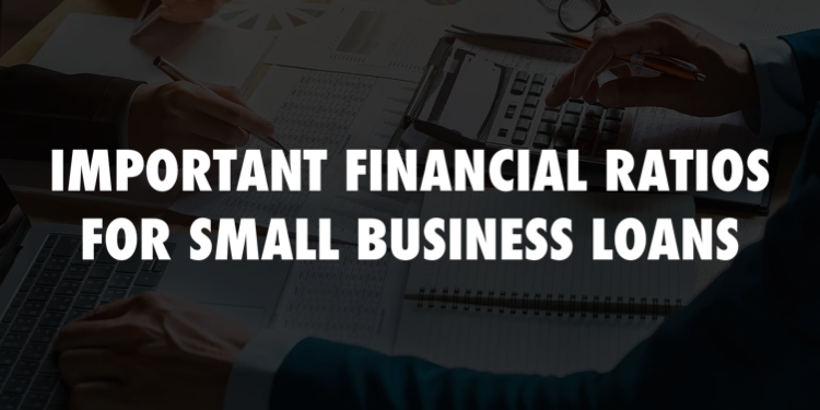 Important Financial Ratios for Small Business Loans